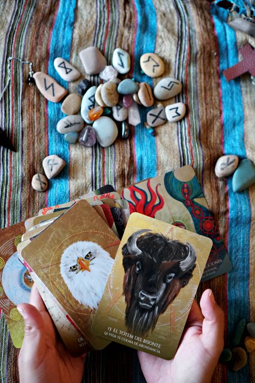 Free Hands holding animal spirit cards with runes on a woven textile surface. Stock Photo