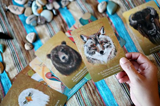 A hand displays animal spirit cards on a colorful fabric with nature stones.