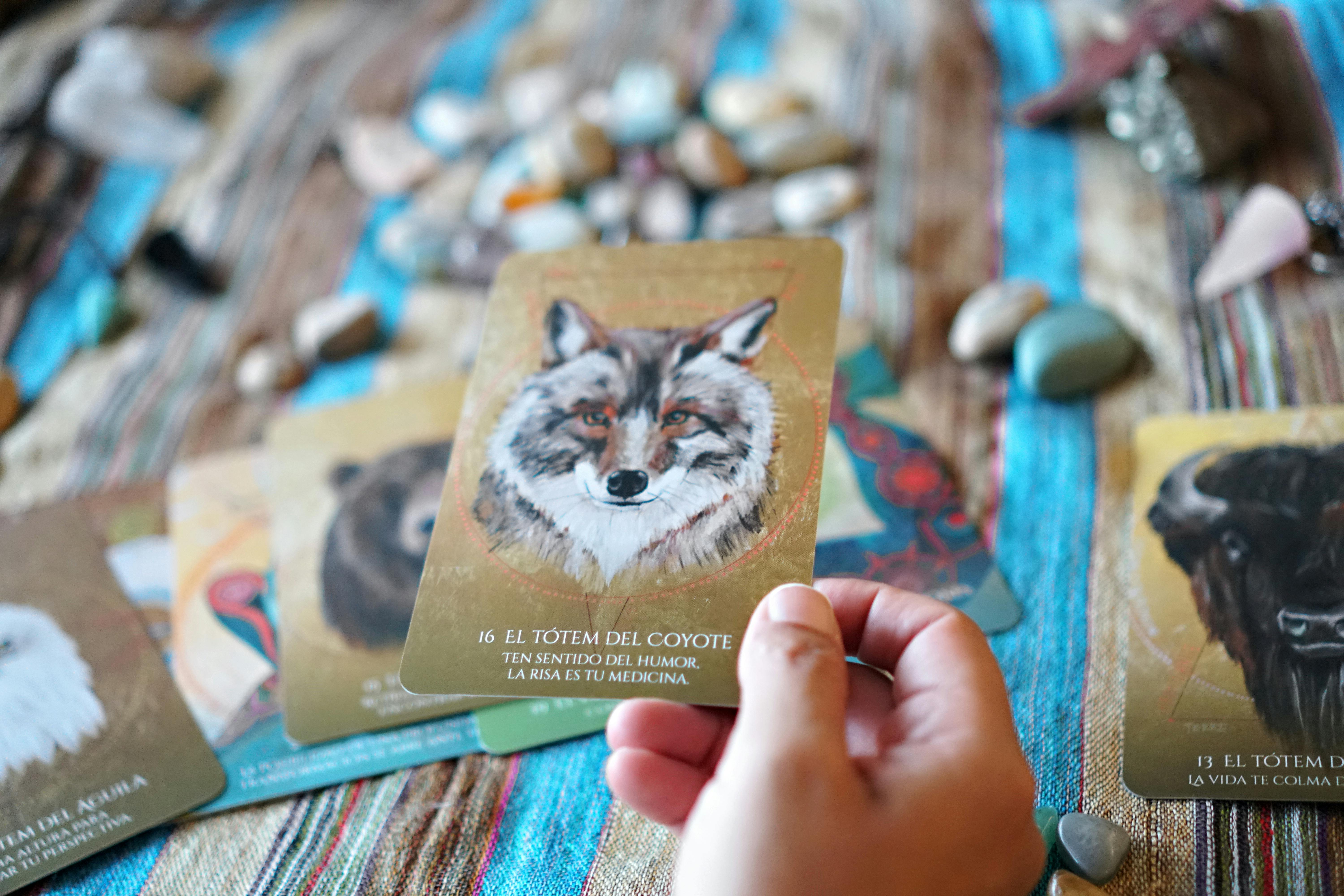 Shamanic Practices in Mesoamerica and Their Modern Influence