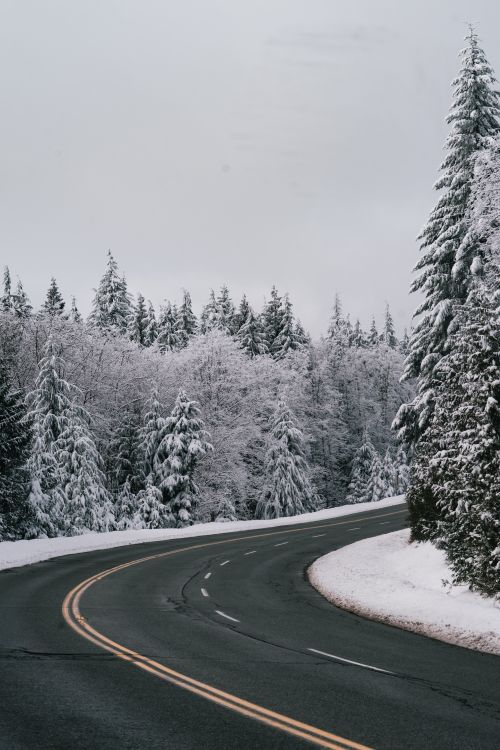 Free Winter scene of a winding road through snow-covered forest in West Vancouver. Stock Photo