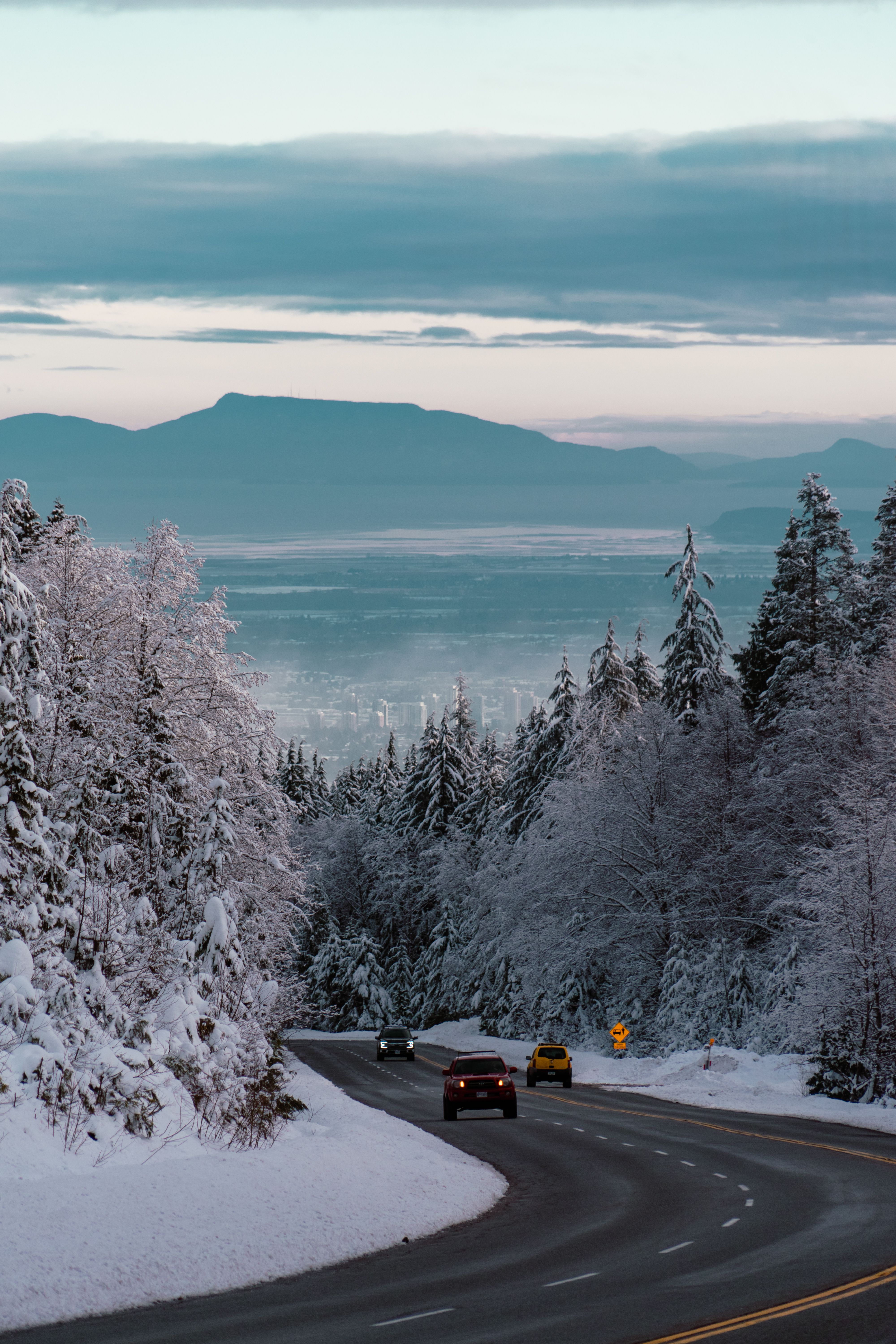 Snowy Winter Road Through Vancouver Forest · Free Stock Photo