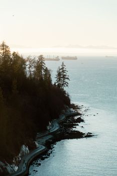 Serene ocean view with ships, trees, and coastline at Stanley Park, Vancouver.