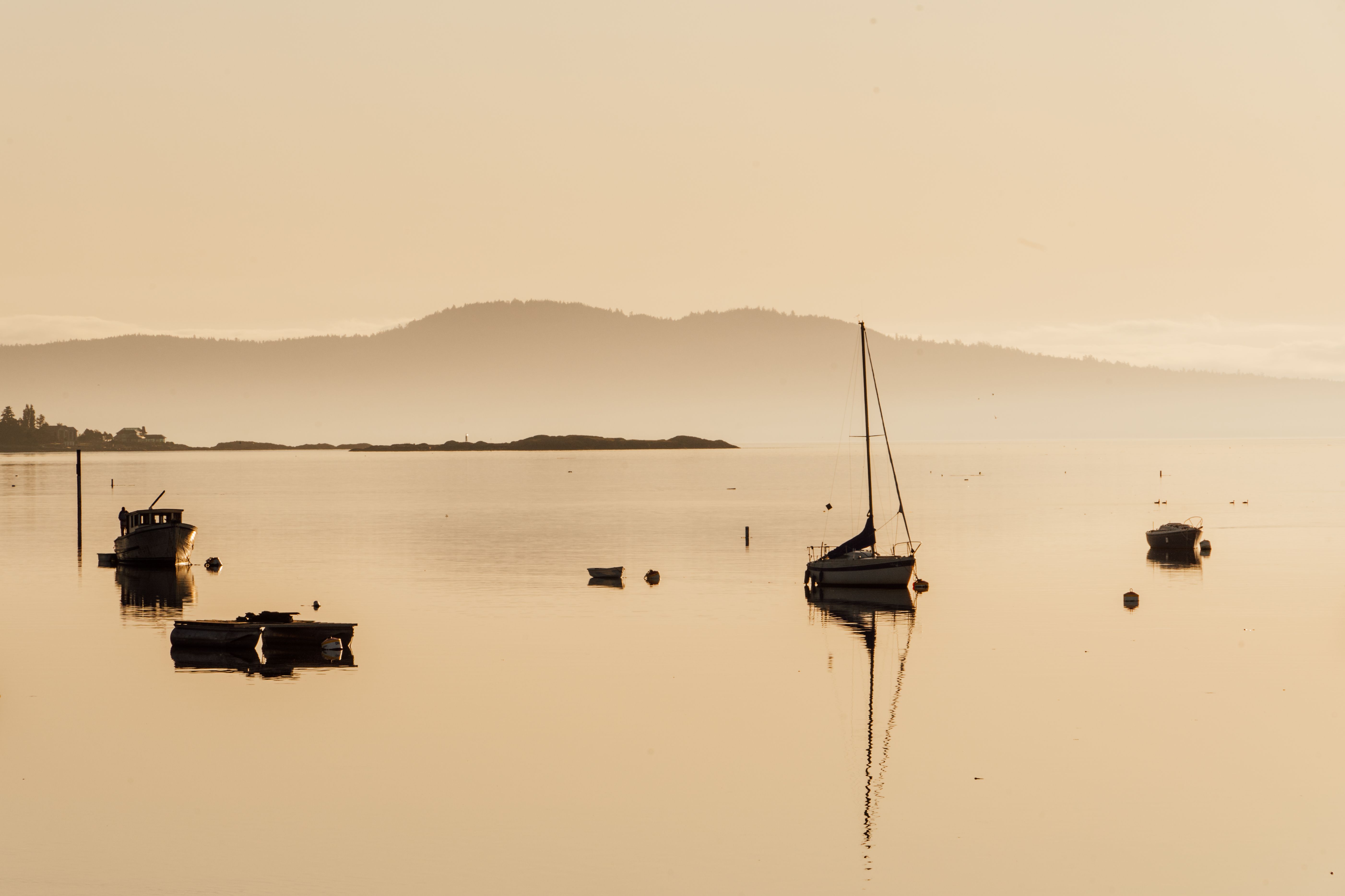 Bellingham Washington Living: Is This Hidden PNW Gem Right for You in 2024?
