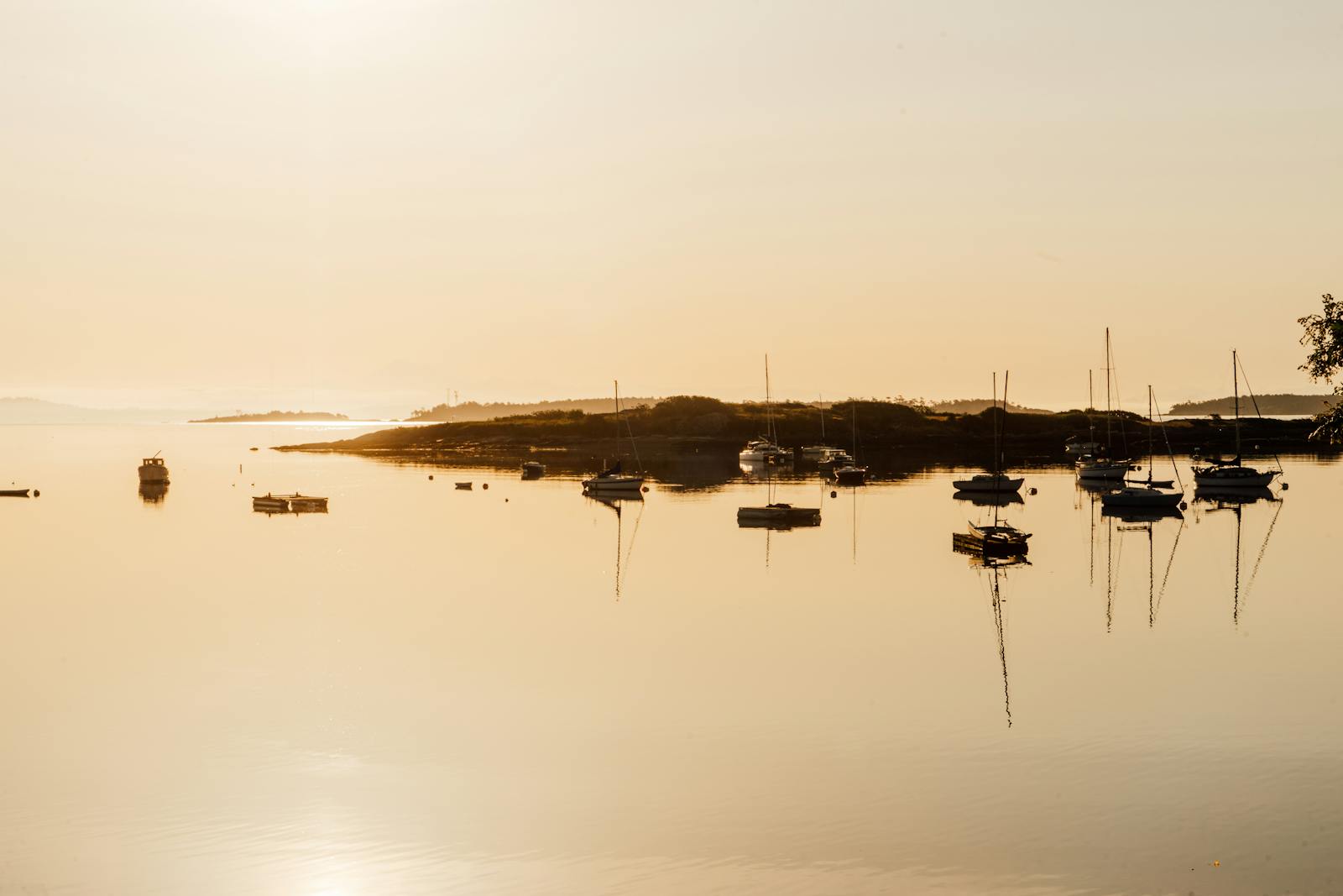 Building Review: Newport Beach (Oak Bay) – Is It Worth the Strata Fees?