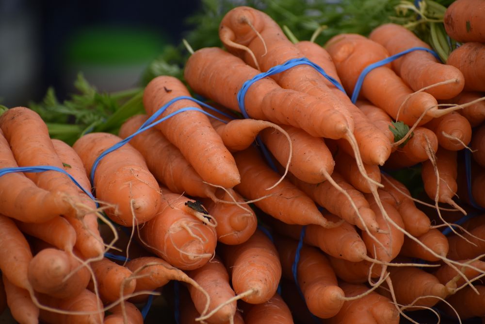 Farm Carrots