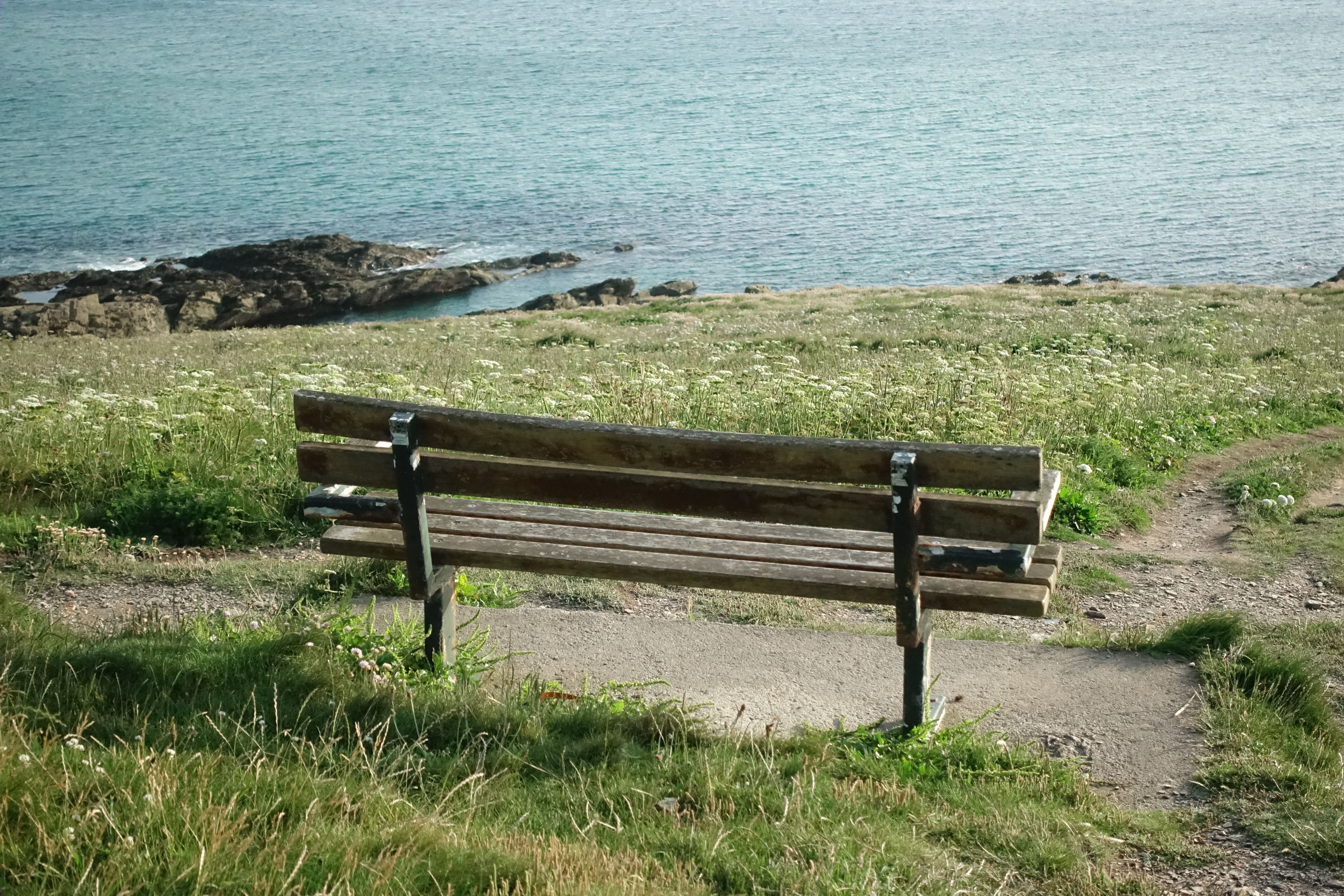Serene Coastal View with Empty Wooden Bench · Free Stock Photo