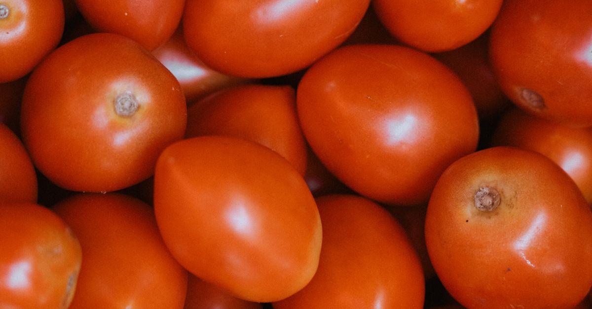 Ripe Roma Fresh Ripe Roma Tomatoes in Abundance · Free Stock Photo