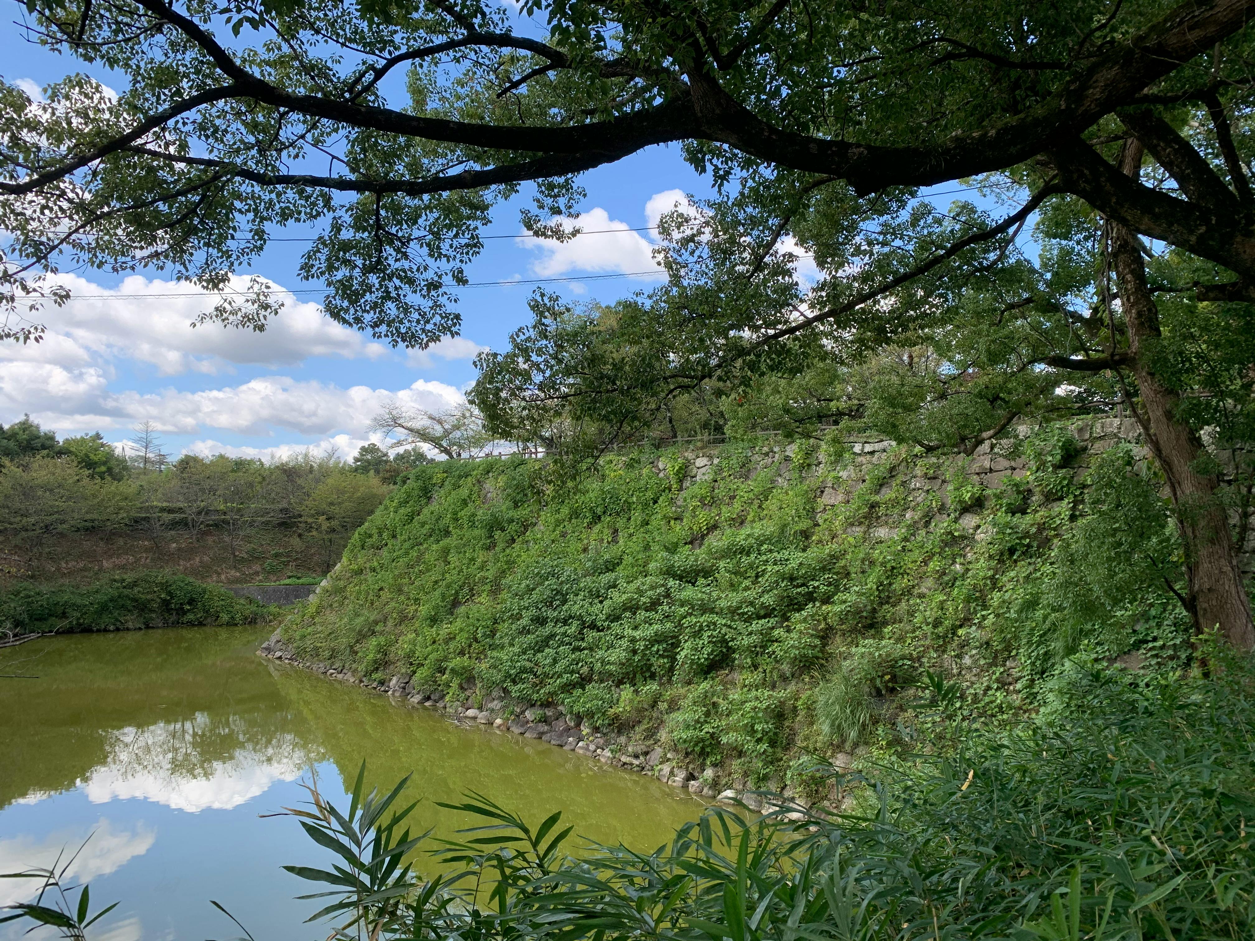 Lush green landscape beside an ancient stone wall and serene water in Nara, Japan.