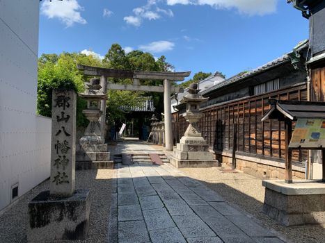 Nara day trip with temple and deer park — Kyoto