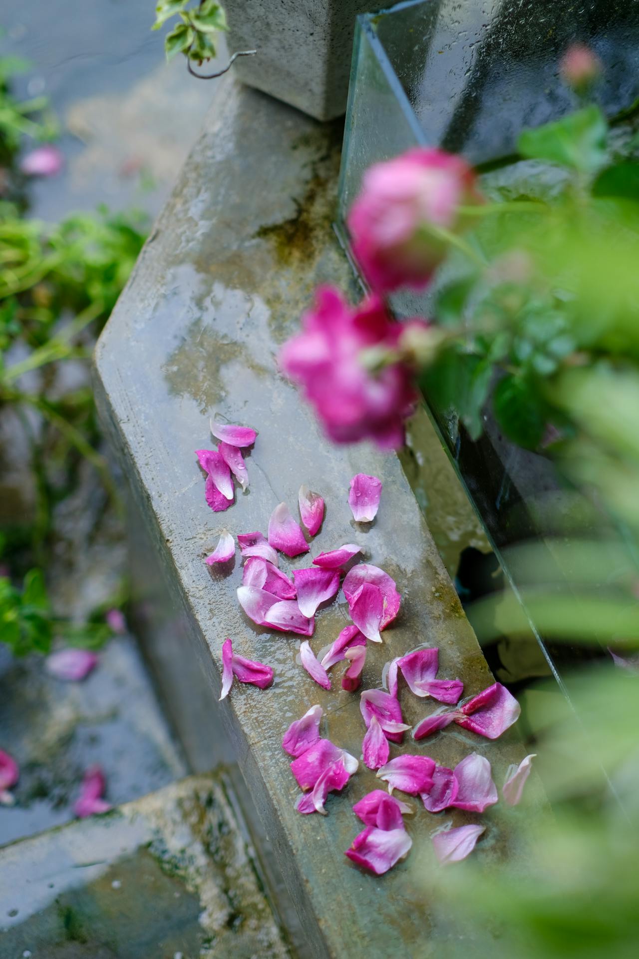 5 sự thật về tác động tích cực cho năm 2025