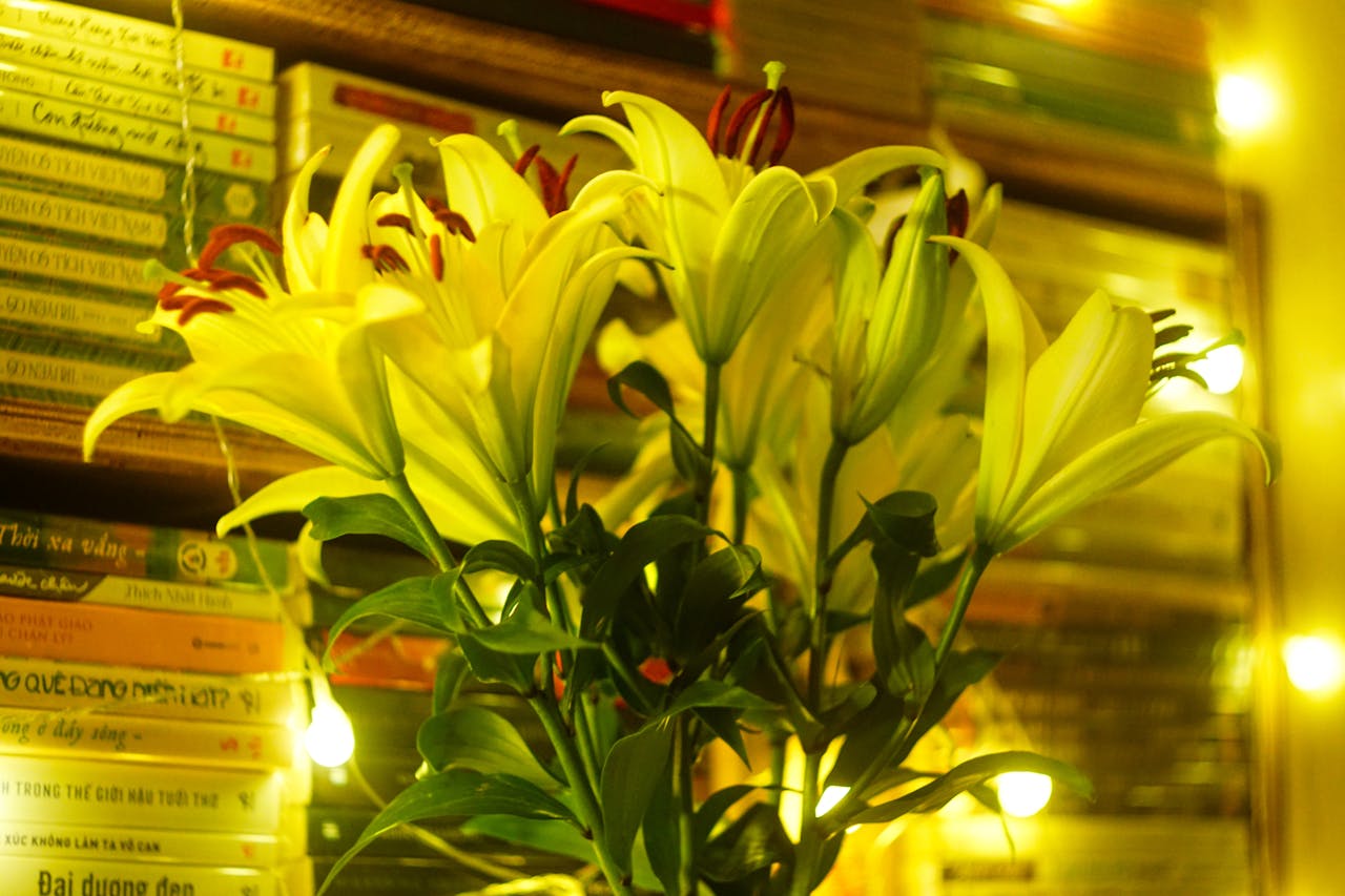 Thám tử lừng danh Conan | Chương 0372