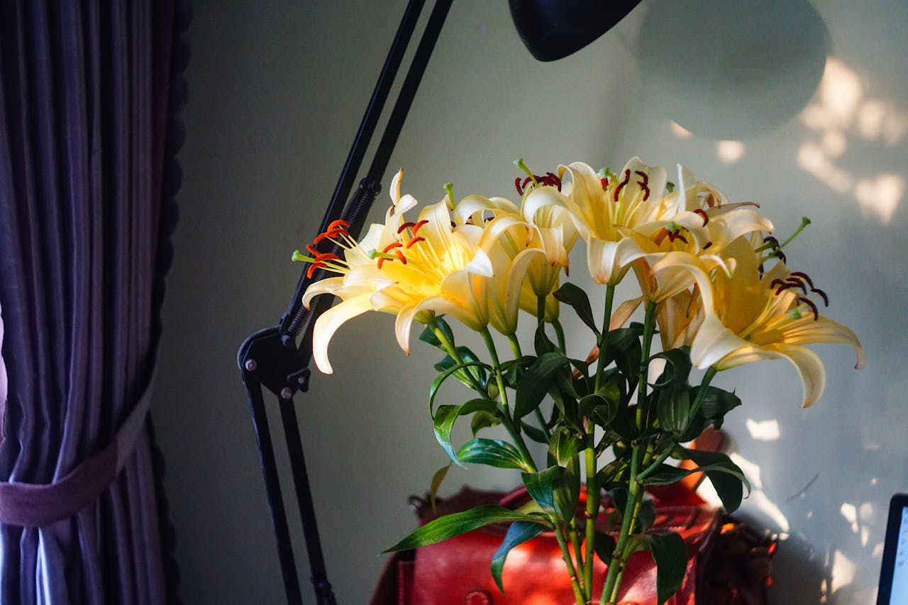 Viết đoạn văn giới thiệu bản thân lớp 7