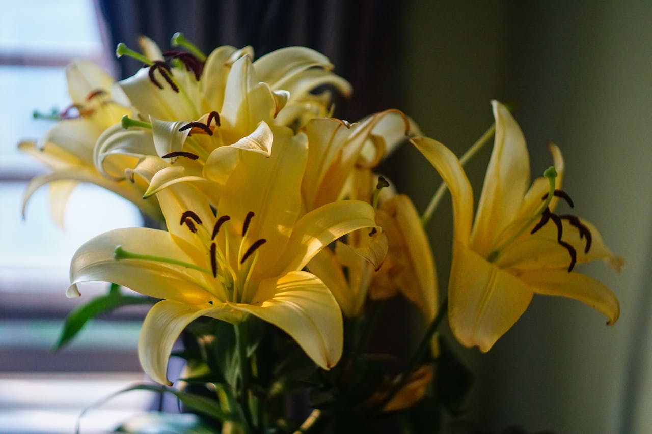 Tips chọn khách sạn đẹp để ngắm cảnh Phú Quốc