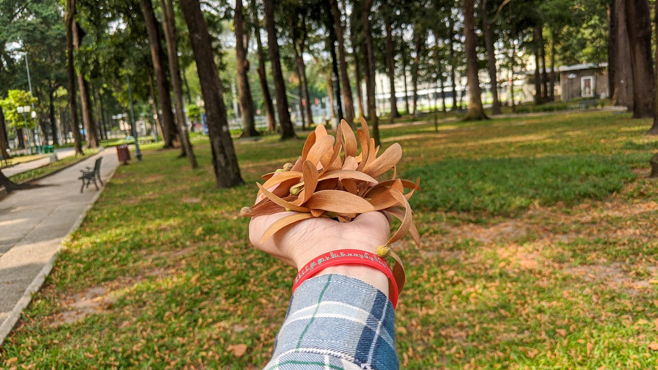 Để trở thành nhà văn | Chương 03