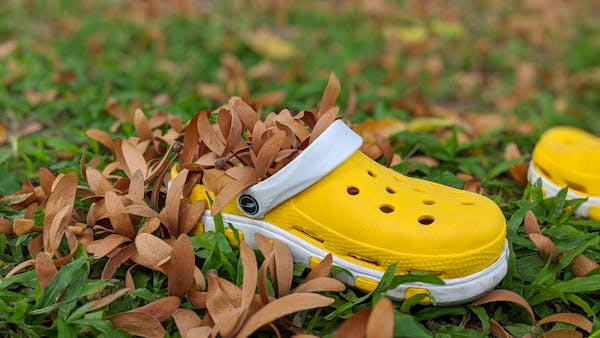 Trung tâm nghiên cứu văn học, phát triển nhà văn Việt Nam