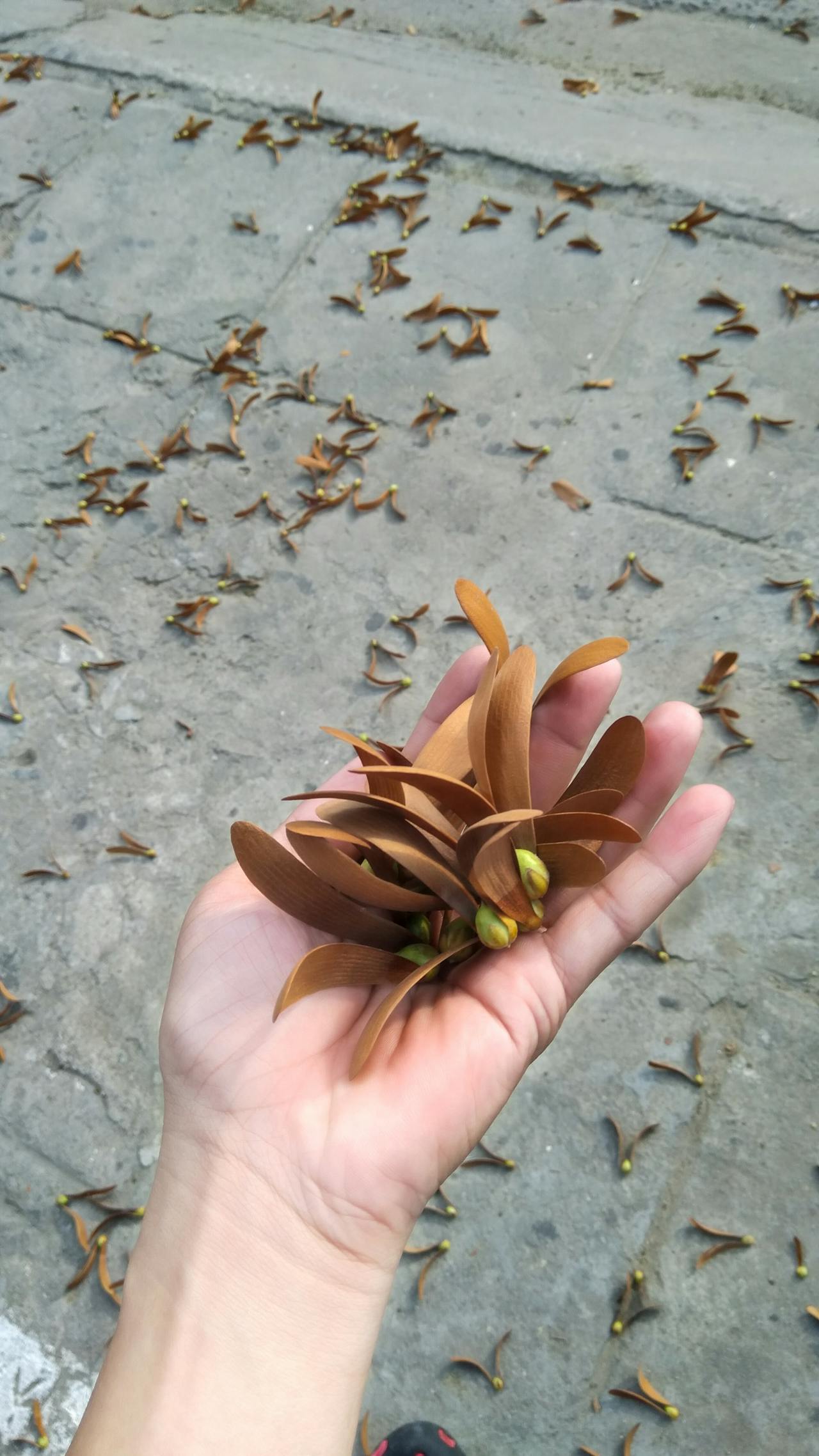 Tiến hóa để thấy thực tại như nó tồn tại