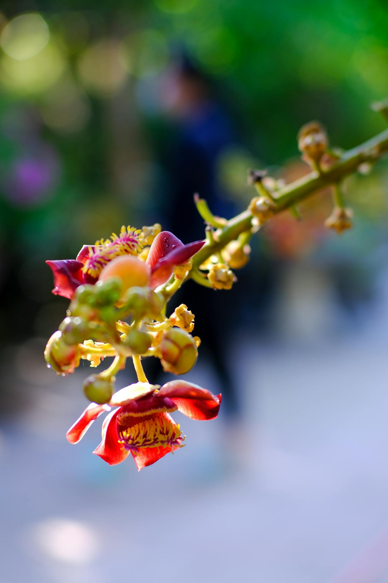 Bên trong cuộc tìm kiếm dấu hiệu trạng thái vô thức