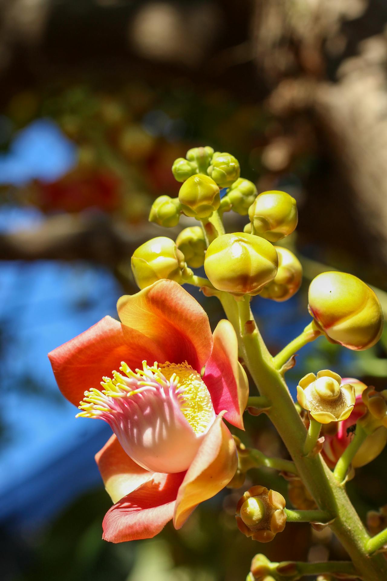 Thám tử lừng danh Conan | Chương 1077