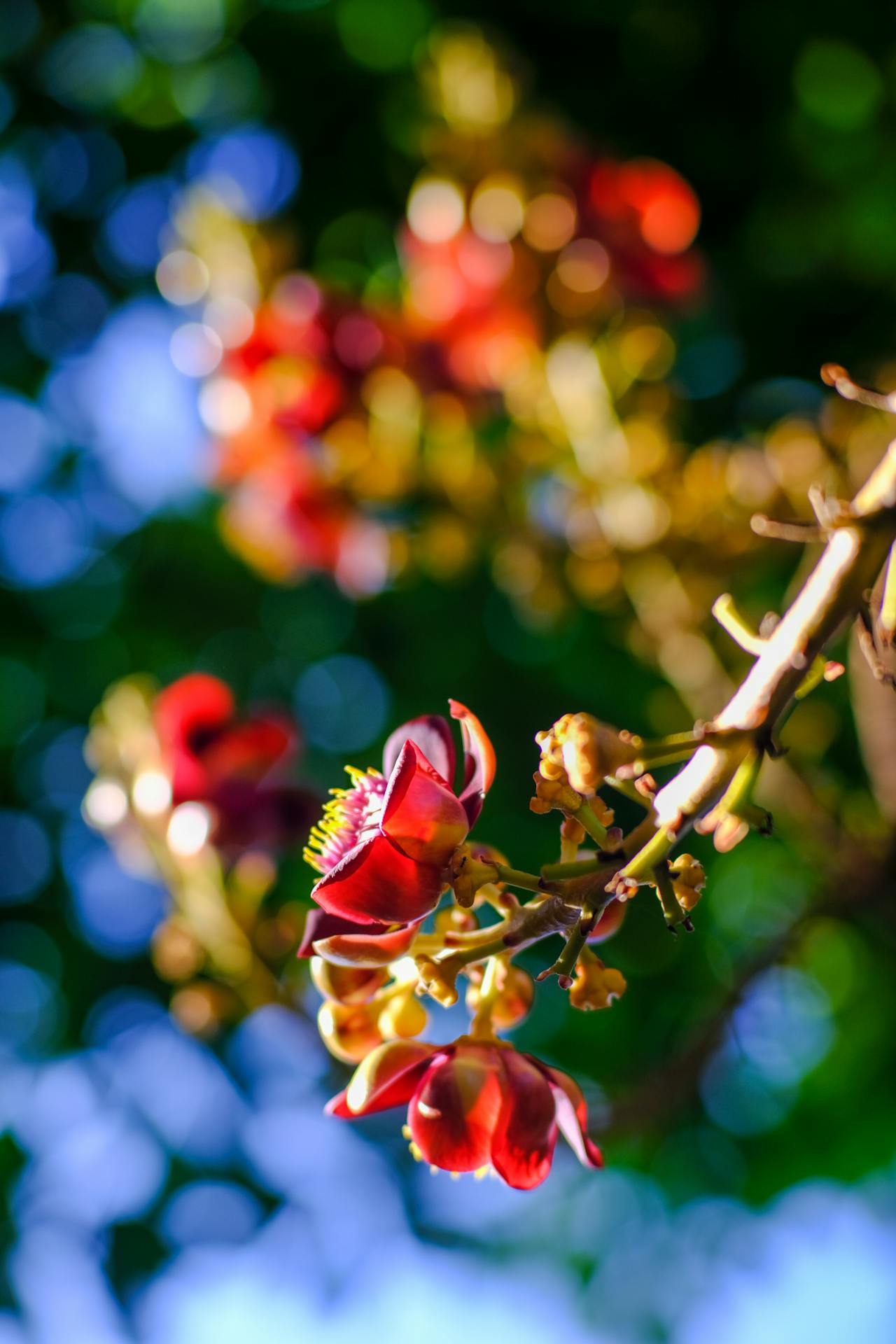 Văn trữ tình là gì?