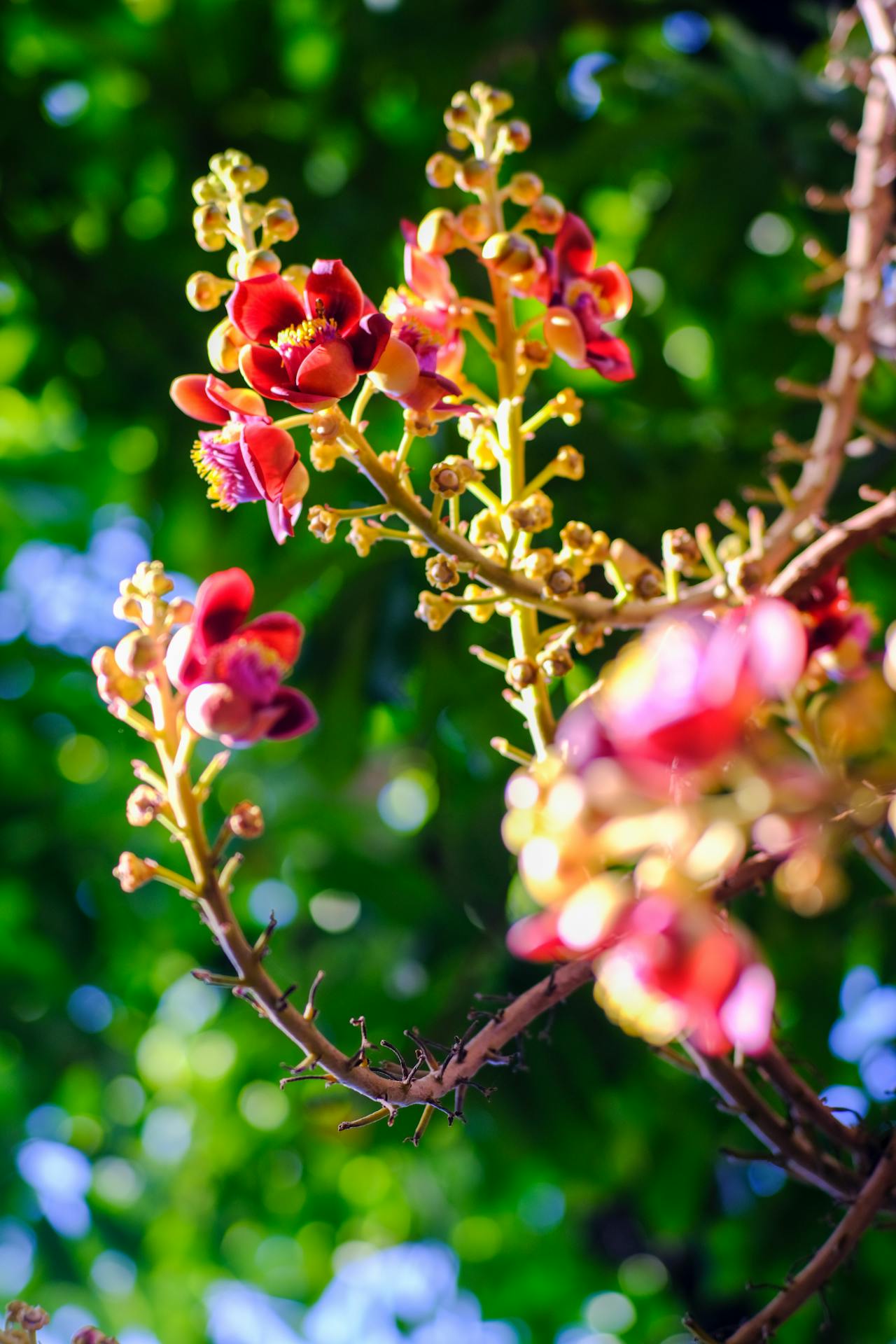 Niên lịch miền gió cát | Chương 08