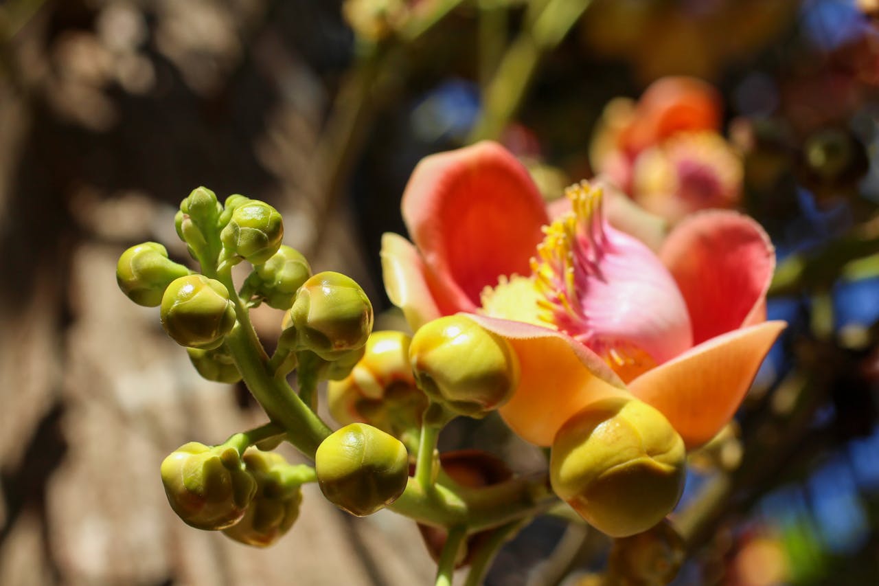 3 quy tắc để chọn đối thủ truyền kiếp