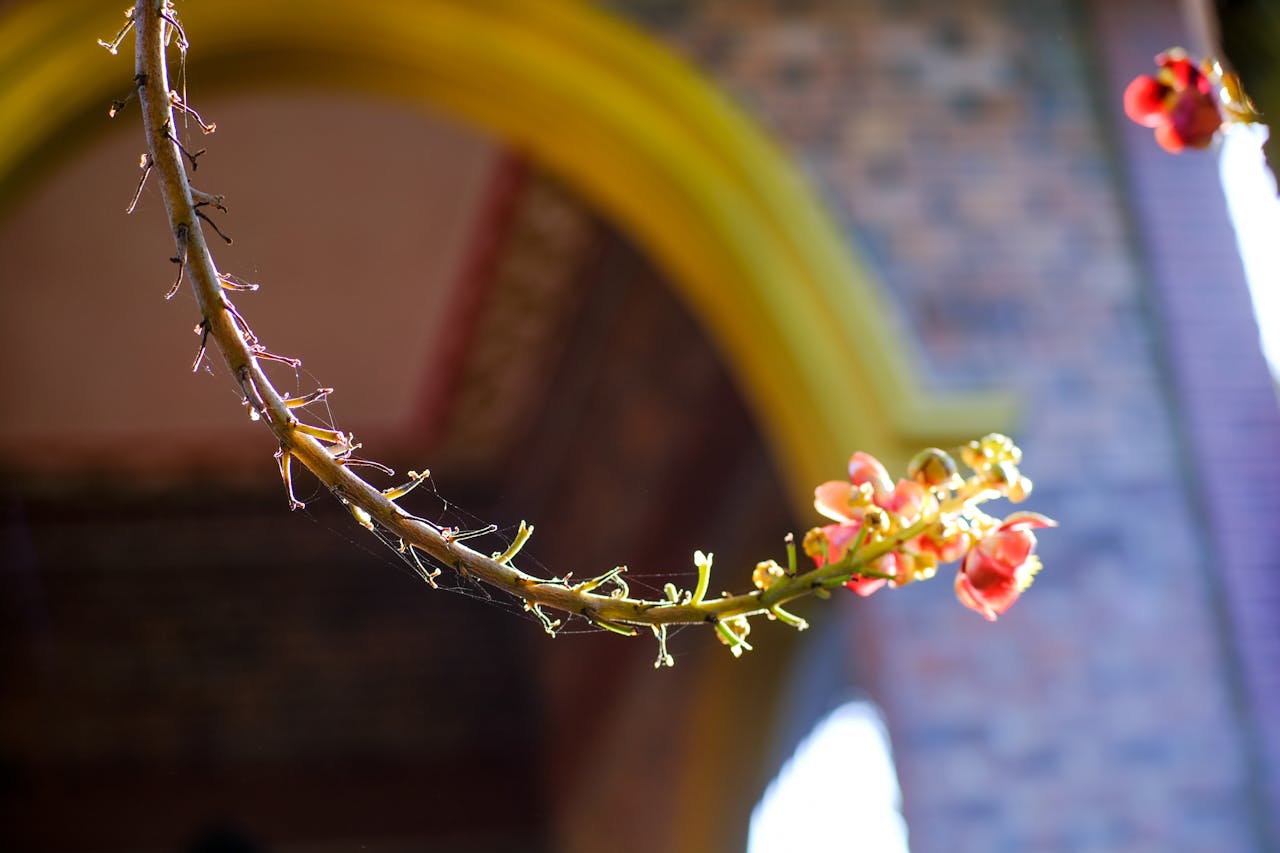 Tôn giáo có làm giảm tình trạng trầm cảm không?