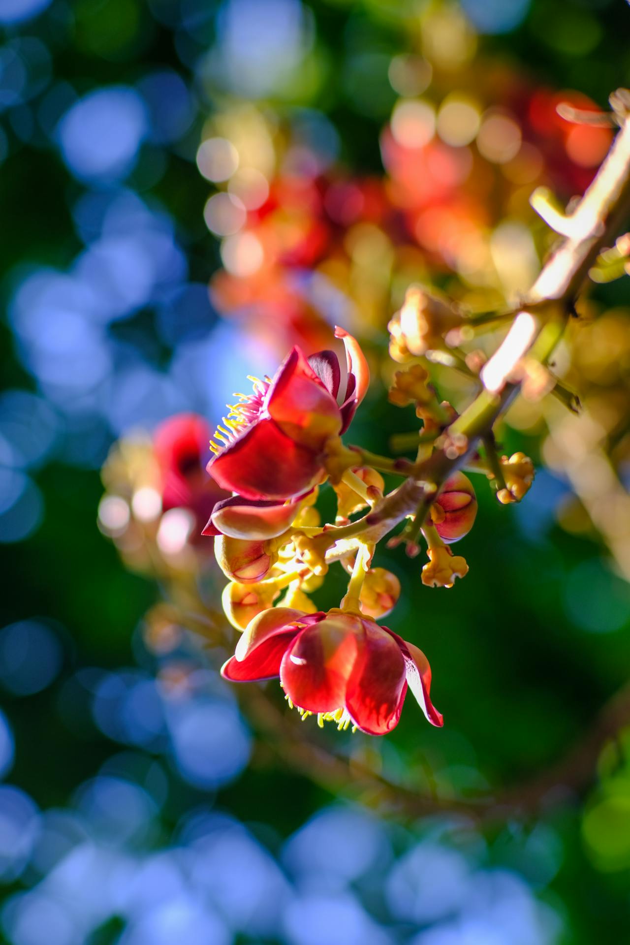 Thám tử lừng danh Conan | Chương 0708