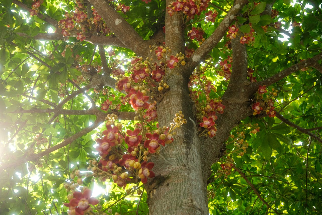 100+ caption, câu nói, câu văn hay về nhà trường