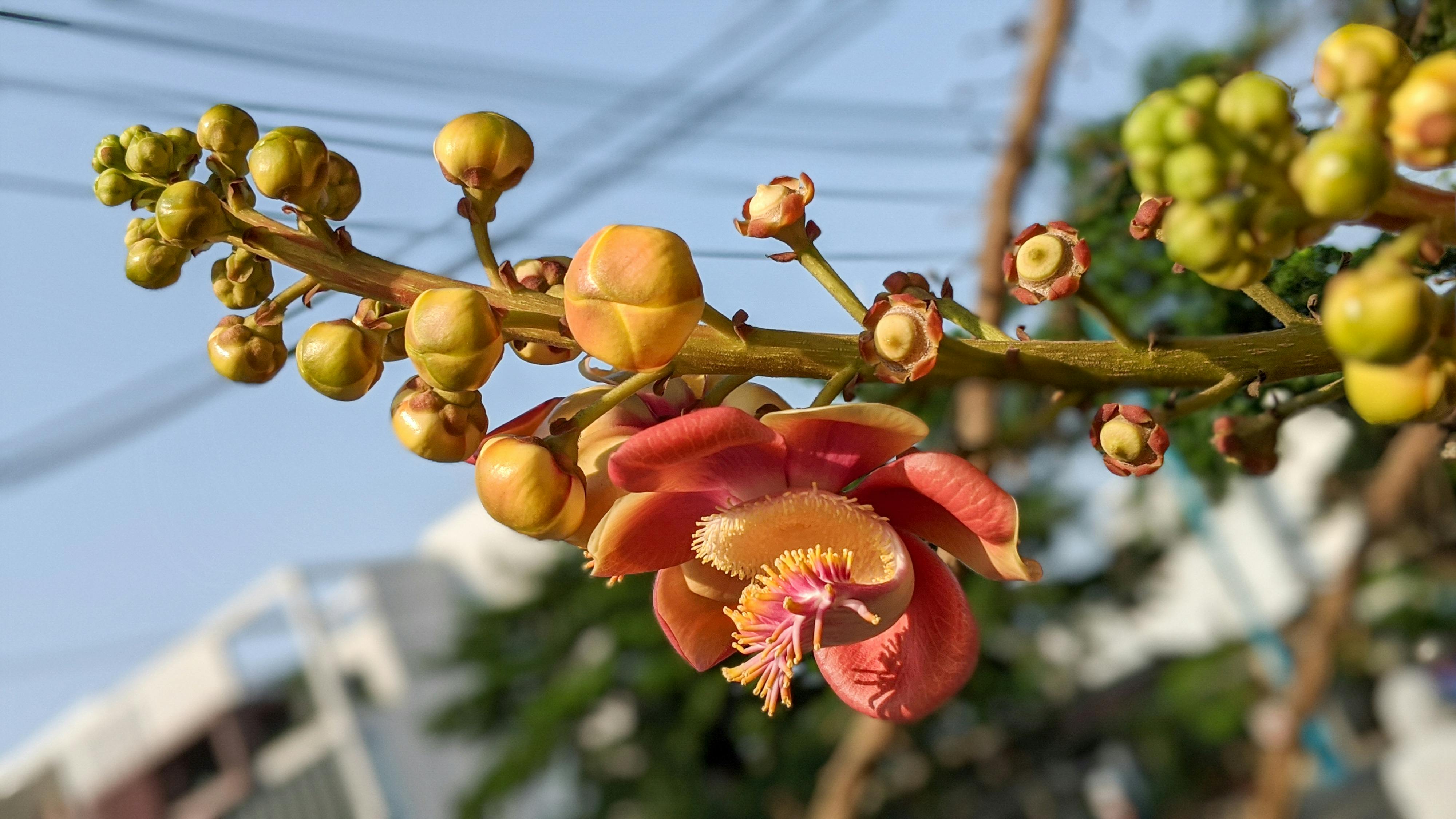 Trồng một nụ cười | Chương 05