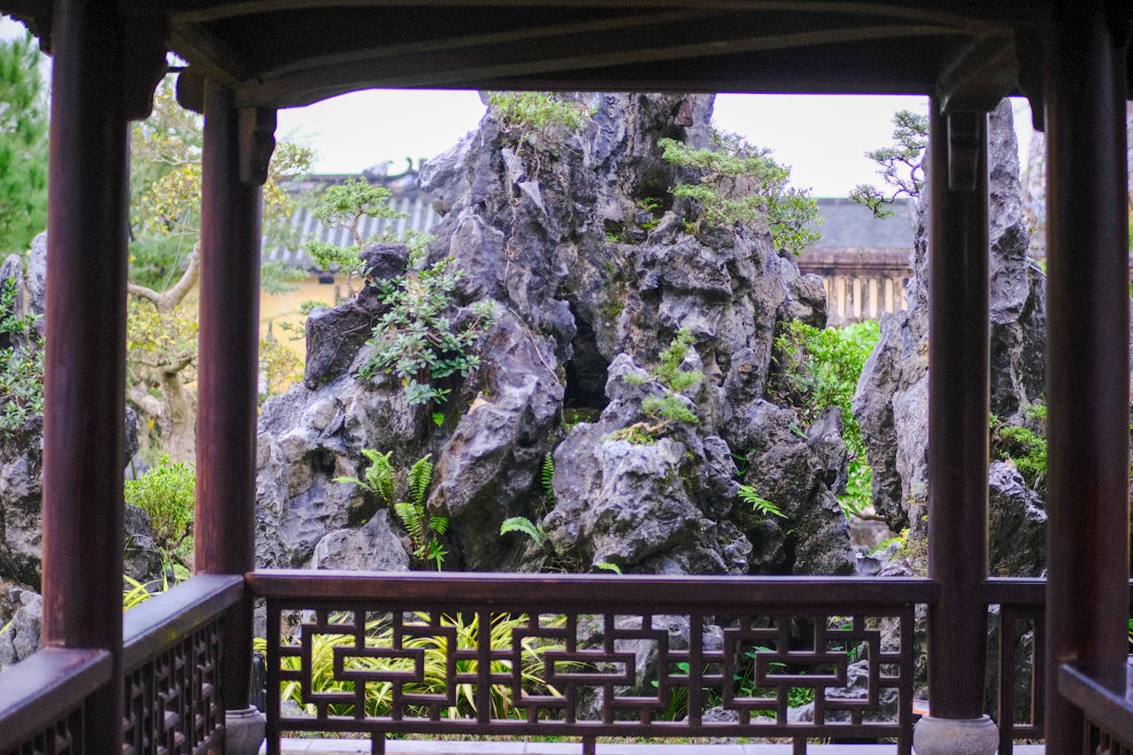 Cây gỗ đỏ có hai loại lá khác nhau