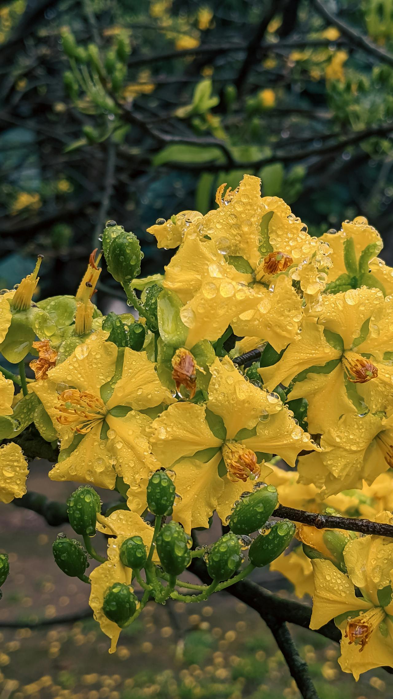 Sức mạnh của dữ liệu khách sạn trong ngành khách sạn