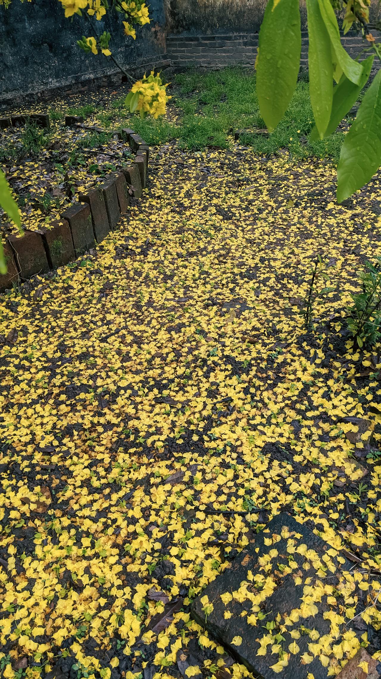 Tiểu sử nhà thơ Huy Cận