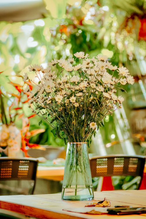 Free Stunning white daisies arranged elegantly in a clear glass vase, perfect for indoor decor inspiration. Stock Photo