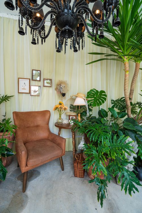 Free A cozy indoor reading nook featuring an armchair surrounded by lush plants and a chandelier for ambiance. Stock Photo