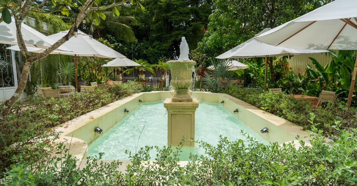 How to Start a Garden Sanctuary at Home