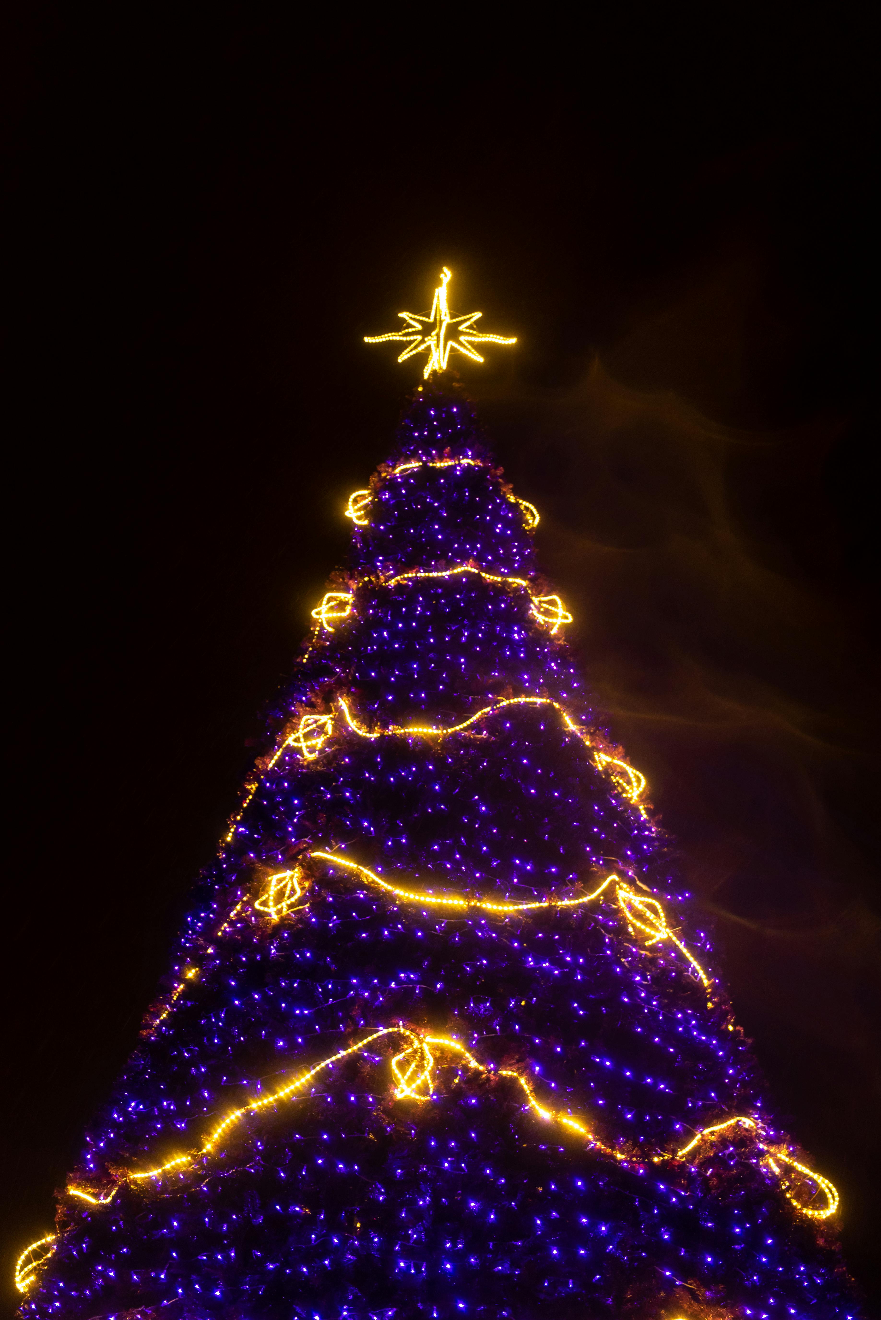 purple christmas holiday images