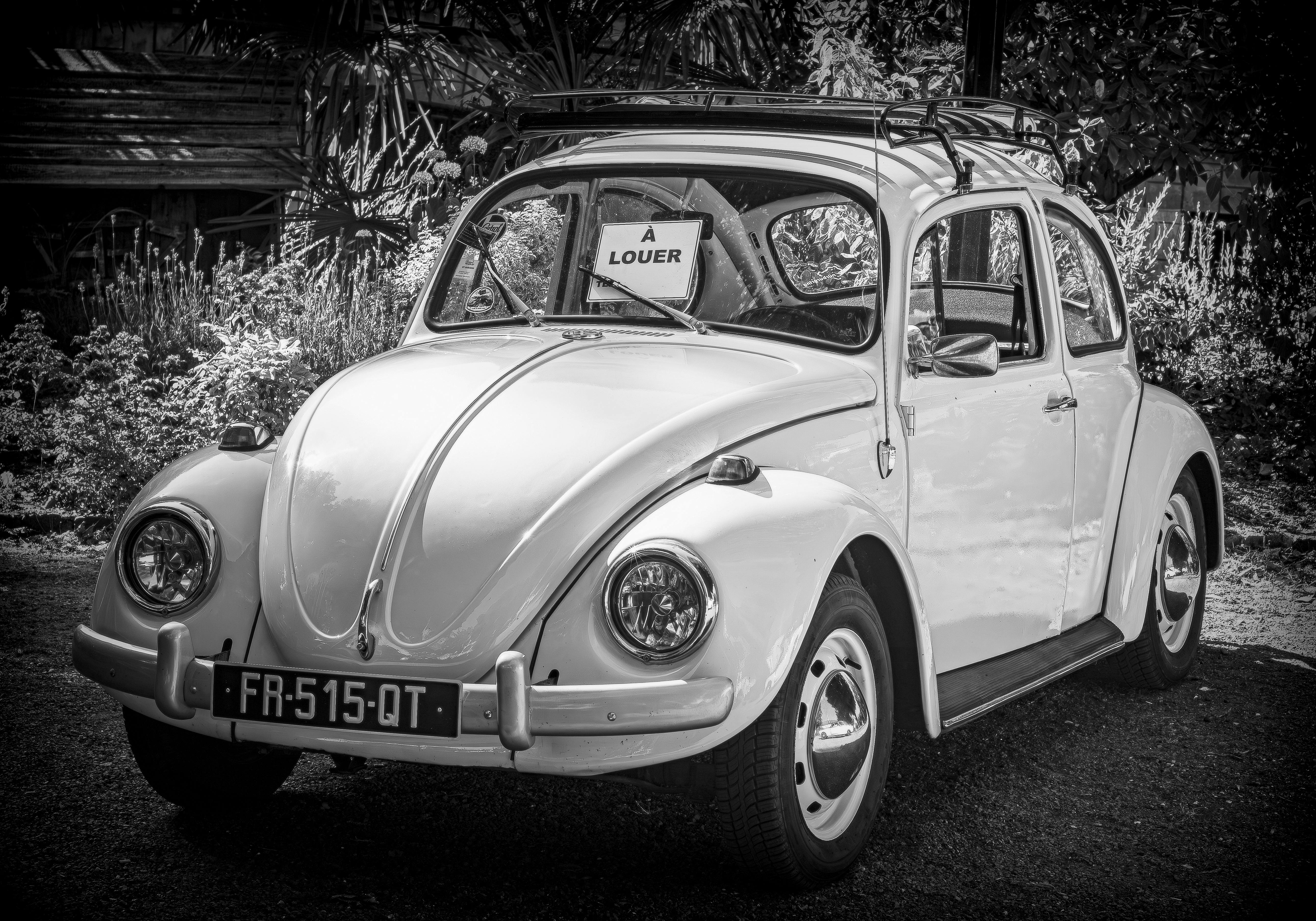 Classic white car with 'For Rent' sign in a rustic outdoor setting.