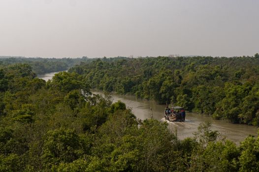 A boat navigates through a lush, green river surrounded by dense forest, creating a serene nature scene.