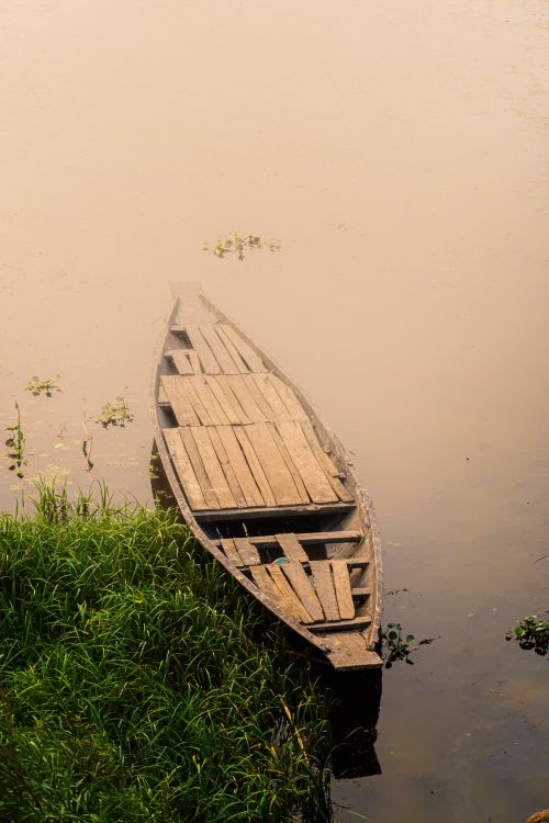 Free A wooden boat rests peacefully by the grassy shore, surrounded by a tranquil lake's calm water. Stock Photo