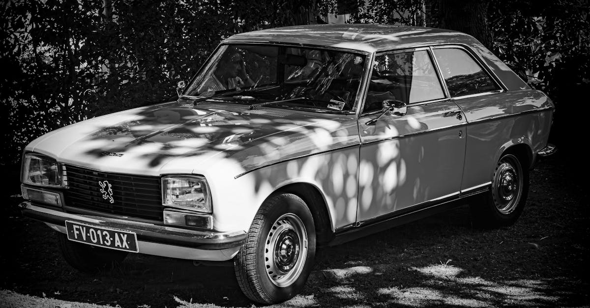 Fotos De Estudio Profesionales De Automóviles