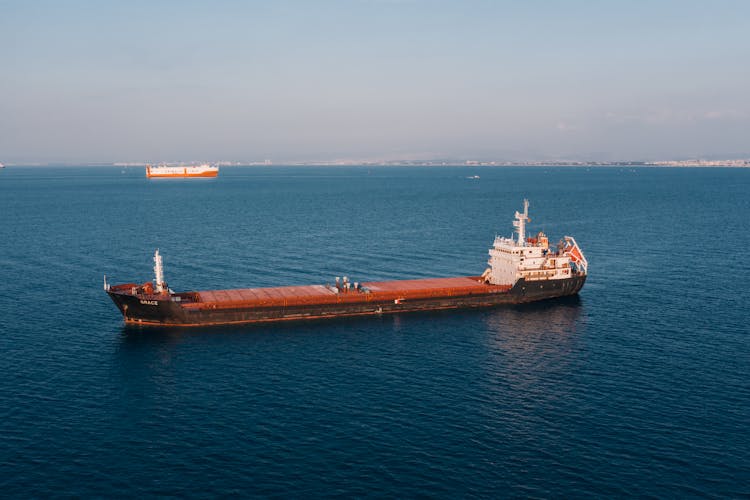 Brown And White Cargo Ship