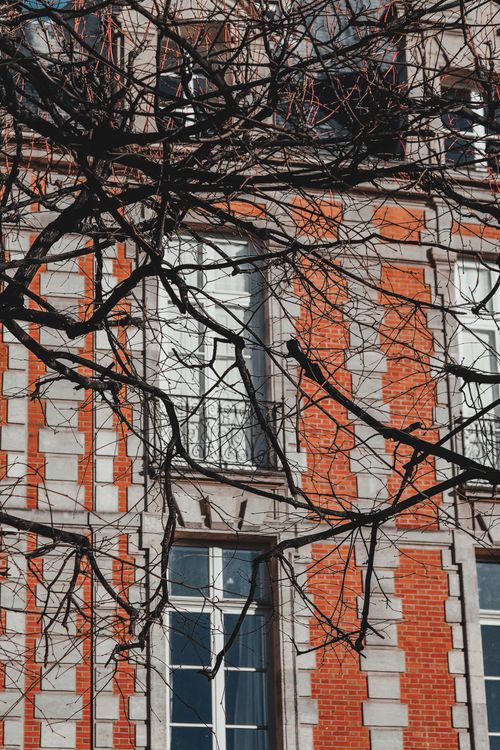Free Elegant Parisian building facade with striking brick detail and leafless tree branches in winter. Stock Photo
