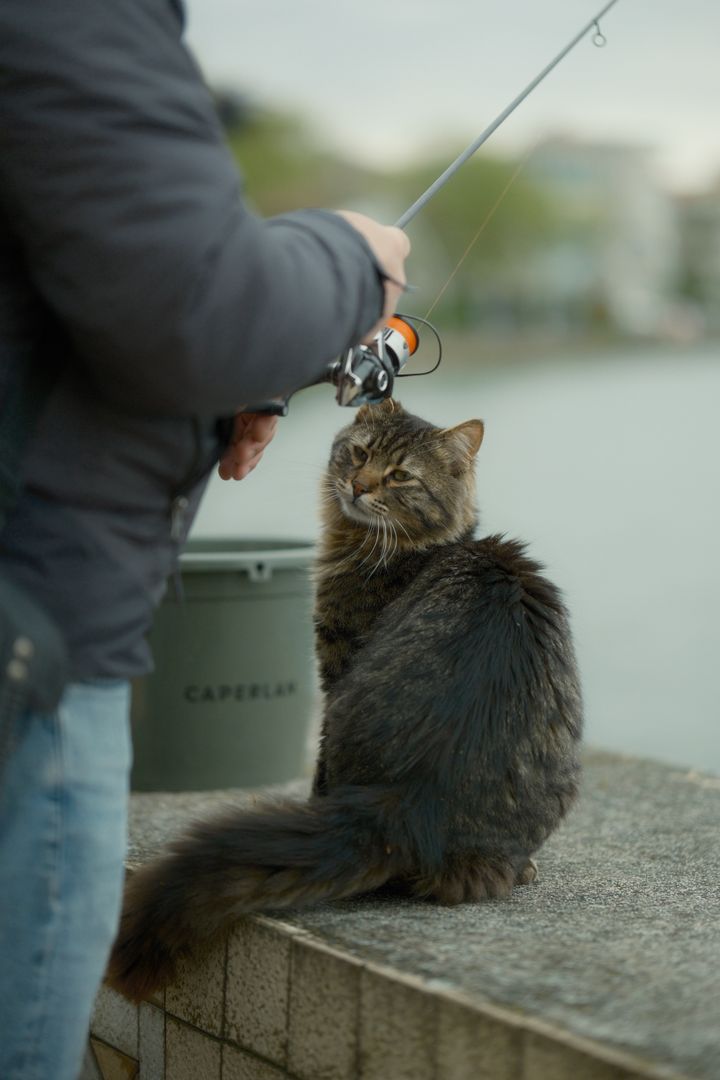 Fishing Rod Gaze, Kocaeli, Türkiye