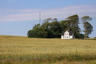 Charming Danish Farmhouse Amid Wheat Fields