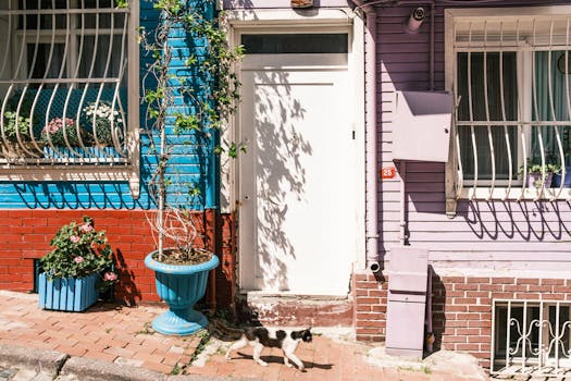 A charming colorful house facade with a black and white cat walking on a sunny afternoon.