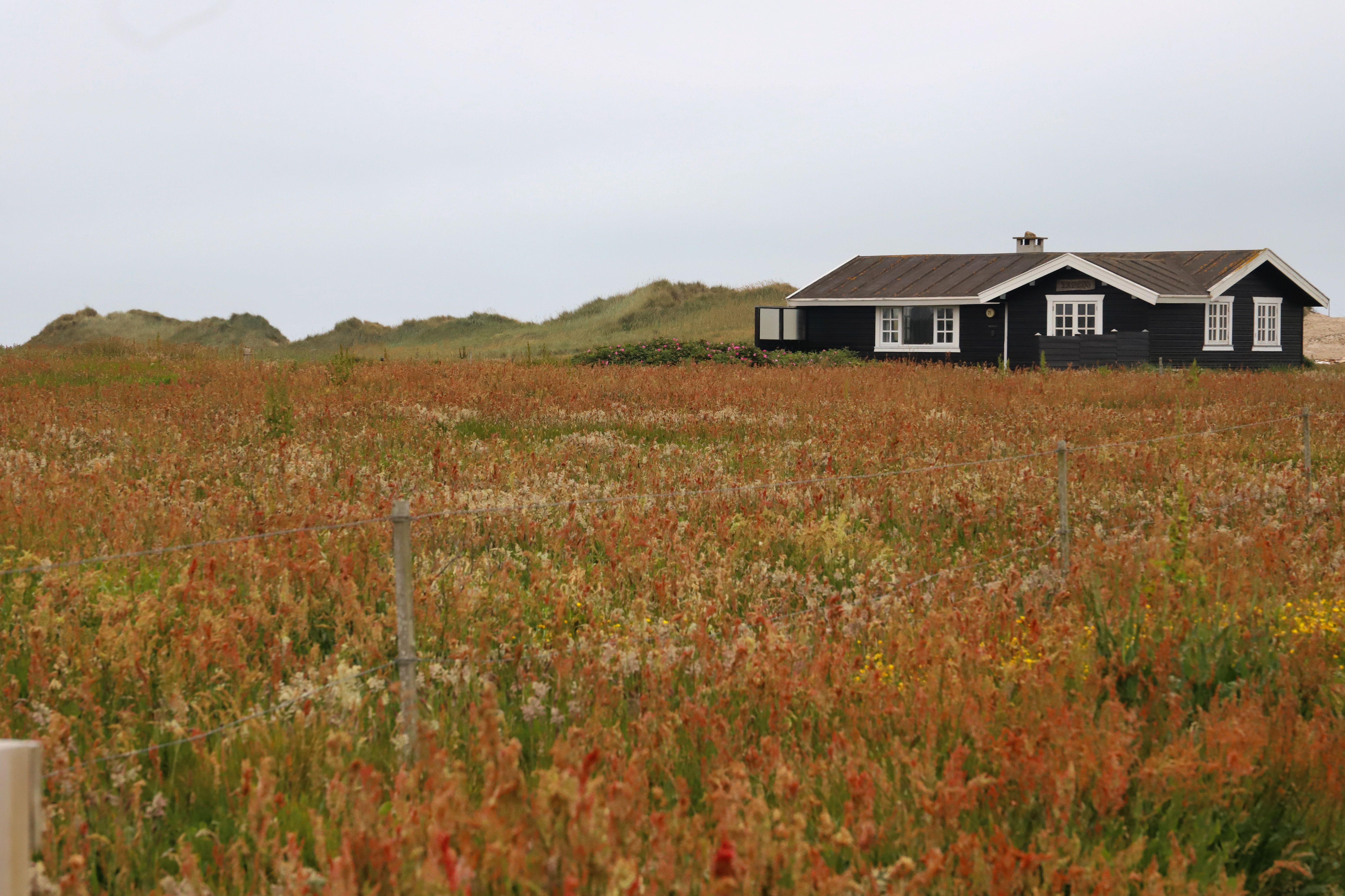 Un pittoresque chalet en bois au Danemark entouré d'une prairie d'été animée.