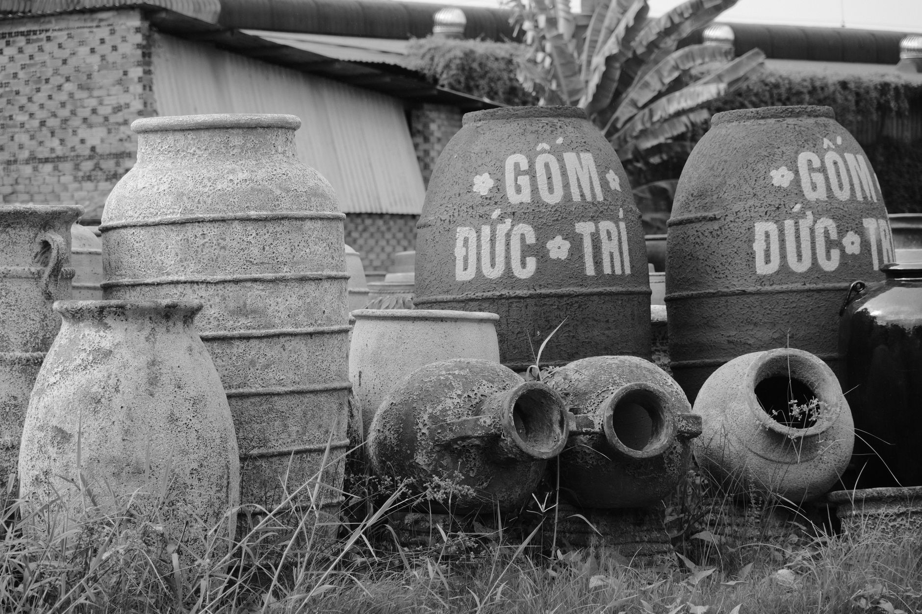 Black and white image of traditional clay jars in an outdoor setting.