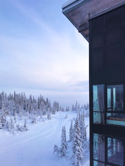 Scenic snowy landscape with forest view from a ski resort lodge during winter.