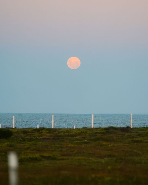 Free A beautiful full moon rising over the ocean at sunset in Punta del Este, showcasing tranquil waves. Stock Photo