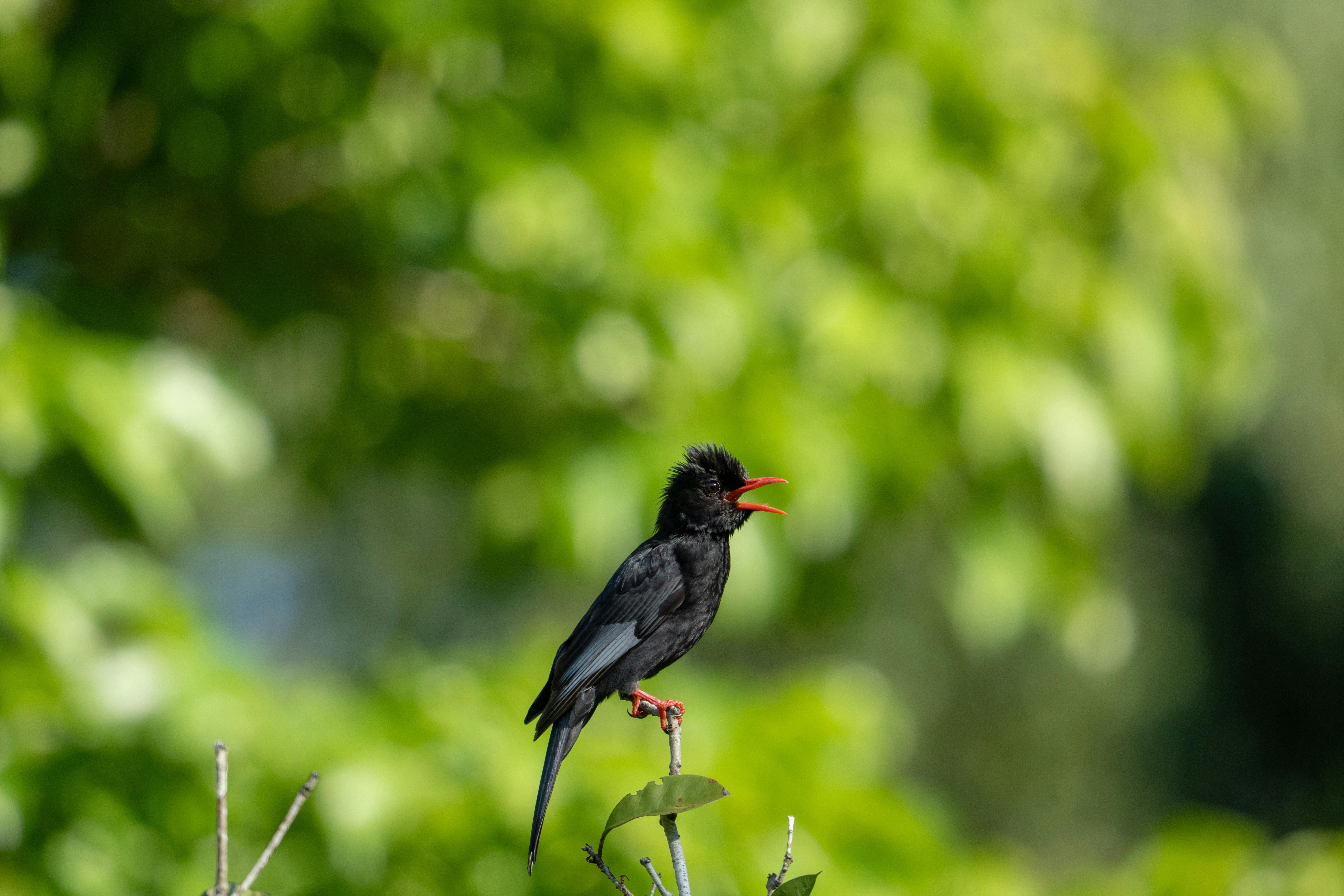 Eco Friendly Hacks for Sustainable Living